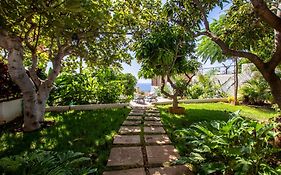 The Mango House